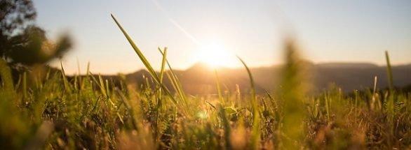 ANLEIHEN-Woche #KW37 – 2023: Katjes International, Stern Immobilien, VEDES, Bonds Monthly Income, PREOS, Karlsberg Brauerei, Deutsche Rohstoff, PNE, B4H, …