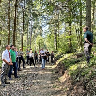 Klimaschutz durch Wald und Holz