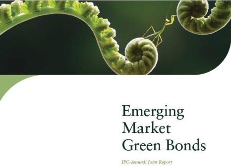 Der Markt für grüne Anleihen hat sich inmitten der globalen Unsicherheit als widerstandsfähig erwiesen