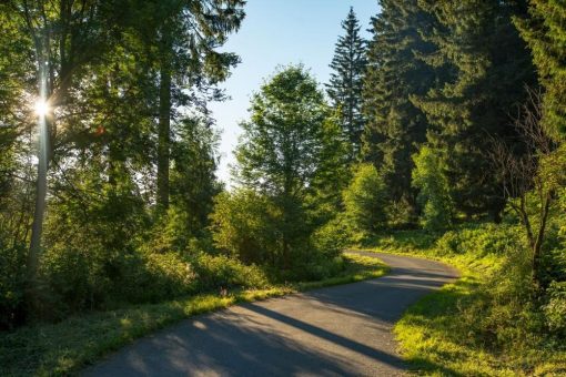 „Nach oben, zu den Bad Harzburger Hausbergen“