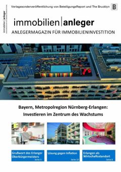 Der Immobilienanleger