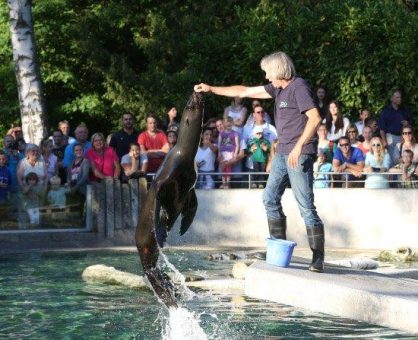 swa Bulli, Kinderprogramm und vieles mehr beim swa Zootag 2023