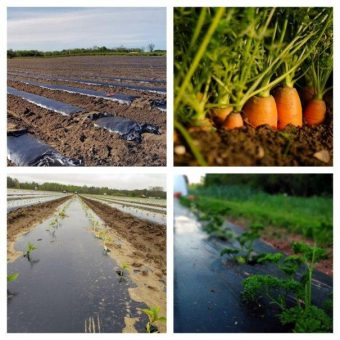 Water Ways Tochtergesellschaft erhält eine Order für landwirtschaftliche Lieferung von kanadischen Landwirten im Wert von 400.000 C$ (278.274 €)