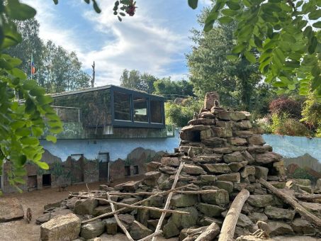 Eröffnung der Erweiterungsmaßnahmen des Innengeheges der Mantelpaviane im Neunkircher Zoo