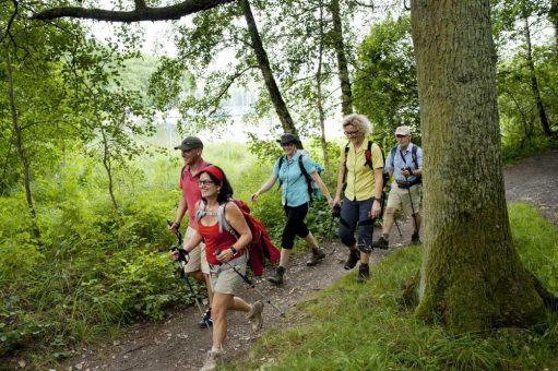 Wald und Kultur im Fokus