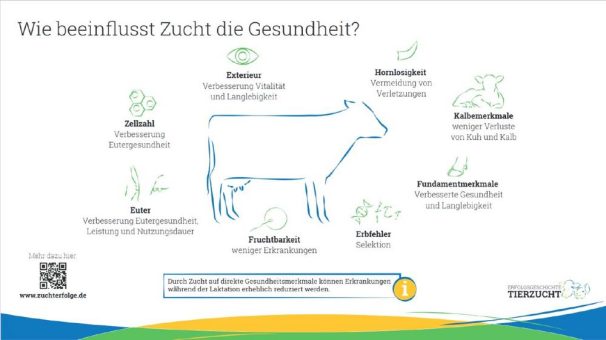 Welttierschutztag – mit Tierzucht zum Tierwohl