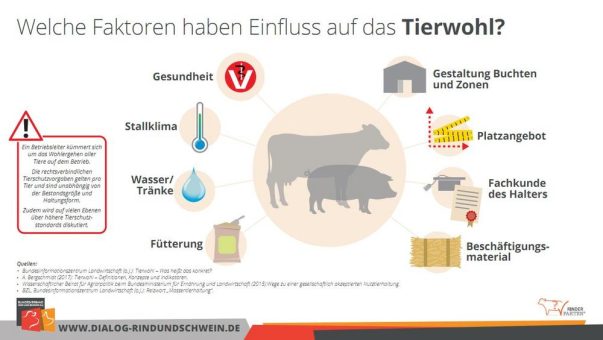 Welttierschutztag – Zahlreiche Faktoren beeinflussen das Tierwohl in der Nutztierhaltung