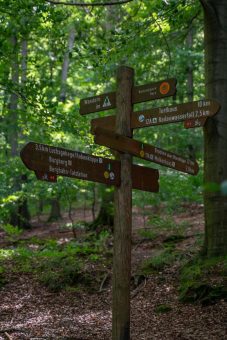 Stadtwanderung durchs historische Krodotal