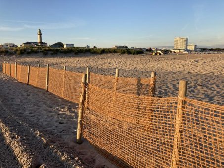 Mit Kokos am Warnemünder Strand: So wird der Tourismus 2024 in Rostock noch nachhaltiger