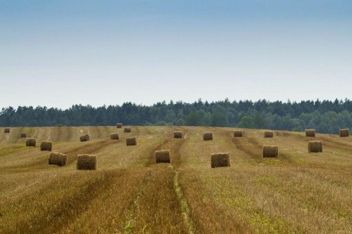 Photovoltaik – Niedersachsen plant neues Klimaschutzgesetz