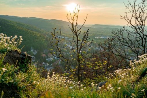 Kurzwanderung um den Papenberg