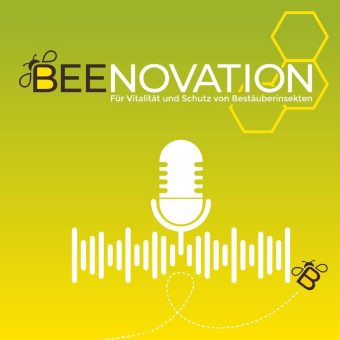 Beenovation informiert – Video & Podcast berichten über innovative Maßnahmen zum Schutz von Bienen und Bestäuberinsekten in der Agrarlandschaft