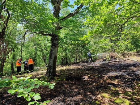 Vortrag von Prof. Dr. Michael Müller zu Waldbränden in Deutschland