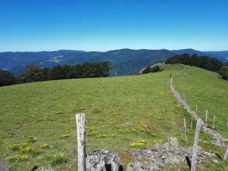 Wanderung im Schweizer Jura