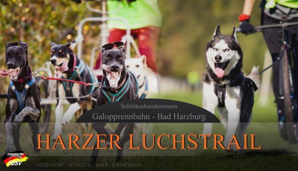 Harzer-Luchstrail NSSV vom 21.-22. Oktober 2023 Rennbahngelände Bad Harzburg