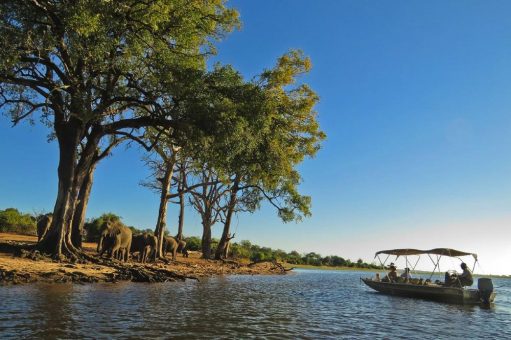 Auf Safari mit Karawane Botswanas Naturreich erleben