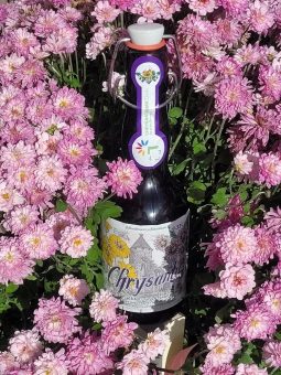 „Manege frei“ für den flüssigen Begleiter der Chrysanthema