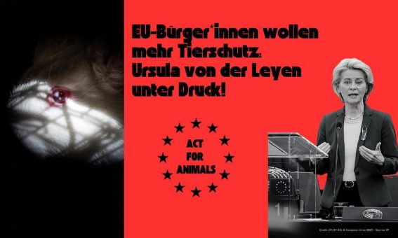 EU-Bürger*innen fordern mehr Tierschutz: Ursula von der Leyen unter Druck!