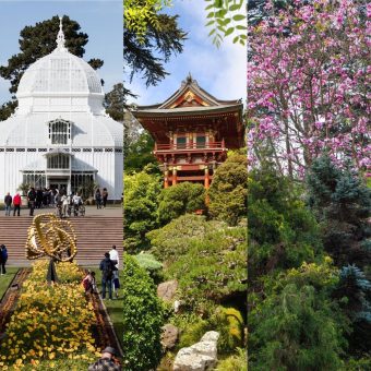 Neuer „Gardens of Golden Gate Park Pass“ für San Francisco-Besucher