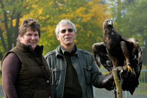 Ludger Kluthausen führt ein letztes Mal Falken, Milane und Eulen im Freiflug vor