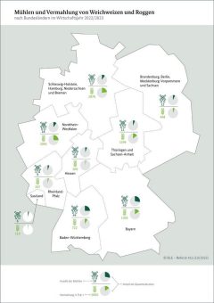 Erneut weniger Mühlen in Deutschland
