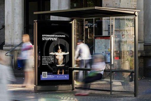 75 City-Light-Poster fordern Ende der Affenhirnforschung in Bremen