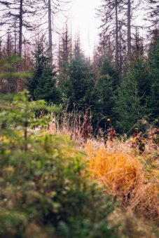Wanderung um die Breitenberge