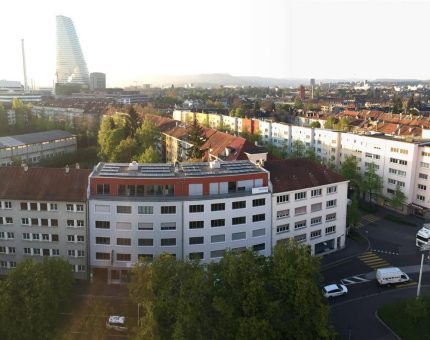 Mehr Bäume und mehr Holz für Mensch und Stadt