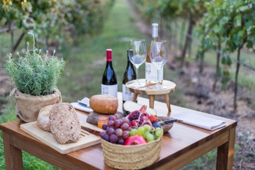 Weinliebhaber aufgepasst: Eine Sinnesreise durch die Aromen des edlen Tropfens
