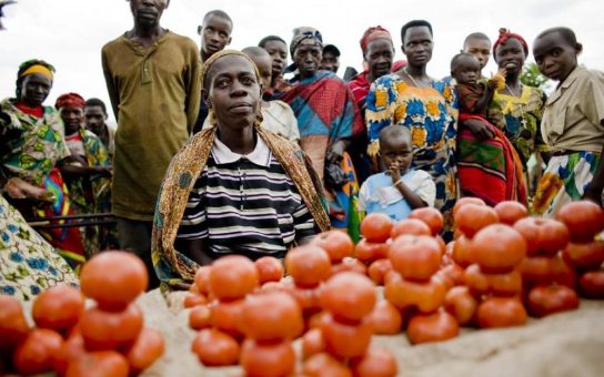 Credendo: Upgrade für Länderrating Burundis