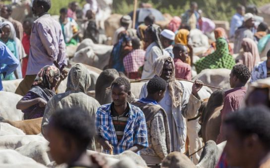 Credendo analysiert Aufhebung der ECOWAS-Sanktionen gegen Mali