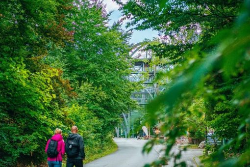 Blick durchs Harzburger Fenster – Wanderung zum Elfenstein