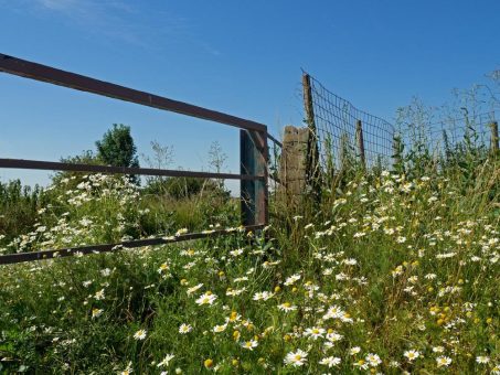 Landschaften – Fotografien von Claudia Franken in der Camera Obscura