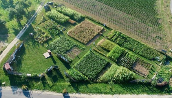 Tipps für Pfingsten: Attraktionen und Erlebnisse am Bodensee