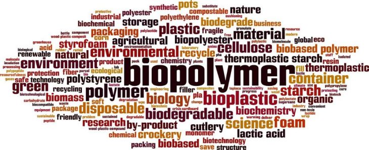 Verbundprojekt „Biopolymere“ geplant