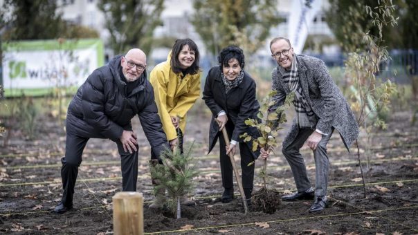 Ein Mini-Wald fürs Märkische Viertel