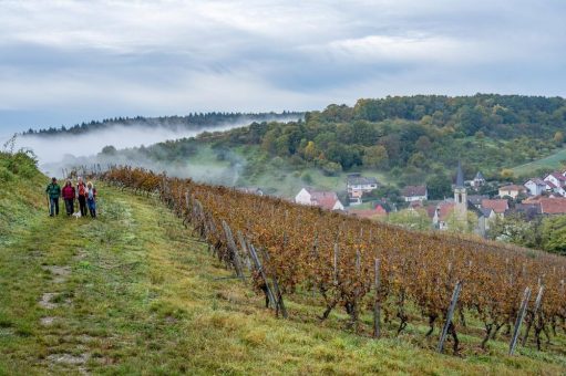 Das Liebliche Taubertal mit allen Sinnen erleben