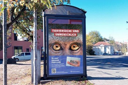 Ärzte gegen Tierversuche plakatiert in Marburg