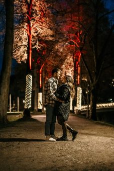 Weihnachtsbeleuchtung im Kurpark Bad Liebenzell