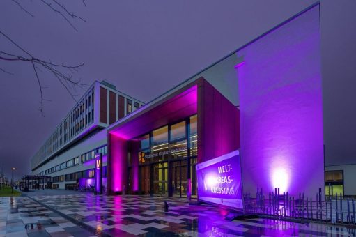 Bauchspeicheldrüsenkrebs: Vorstufen erkennen und richtig einschätzen