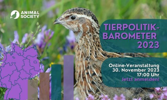 Tierpolitik-Barometer 2023: Umfangreichste Befragung zu Tierpolitik in Deutschland liefert wichtige Erkenntnisse