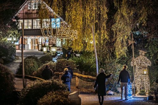 Magische Illumination im Wildpark Schwarze Berge: LUMAGICA Schwarze Berge bringt Licht in die dunkle Jahreszeit