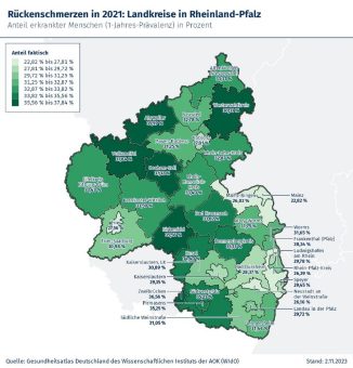 1,28 Millionen Betroffene:  Nahezu ein Drittel der Menschen in Rheinland-Pfalz leidet unter Rückenschmerzen
