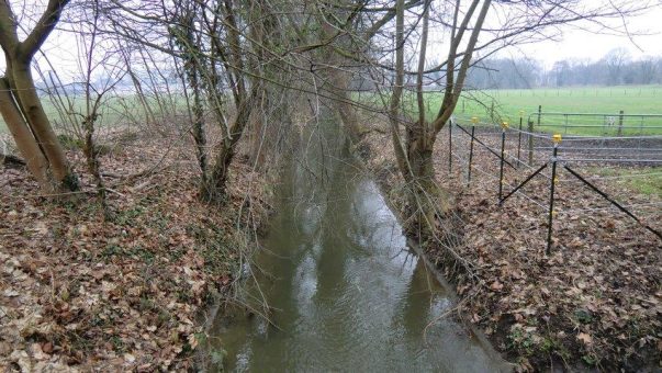 Renaturierung am Flehbach: StEB Köln gestalten Naturerlebnisraum zwischen Buchheimer Ring und A3