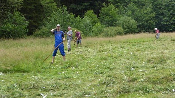 Das Grüne Band erleben und selbst zu dessen Schutz beitragen – Workcamp bei Titschendorf erfolgreich gestartet
