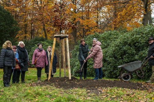 Neupflanzung der Lyrikbuche für die Erhaltung des literarischen Erbes