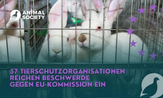 EU Kommission versäumt Tierschutzversprechen: 30 Tierschutzorganisationen reichen Beschwerde bei der Europäischen Ombudsstelle ein