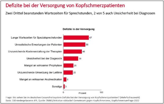 Hausärztinnen und Hausärzte wollen mehr Kopfschmerzexpertise