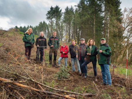 3735 junge Bäume für den Wald bei Kempfeld