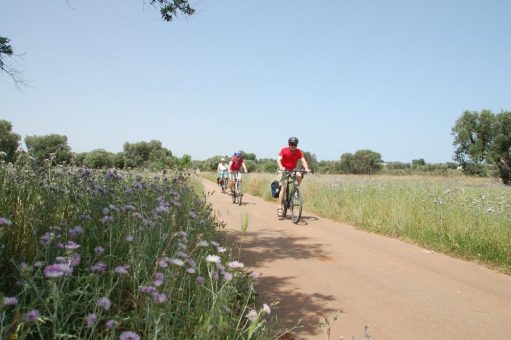 Von Südtirol bis Apulien: Sieben mal Italien auf zwei Rädern entdecken
